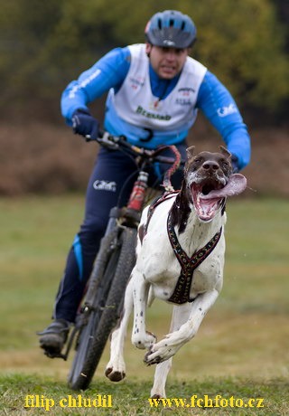 Tri studne podzim 08 - 011.jpg